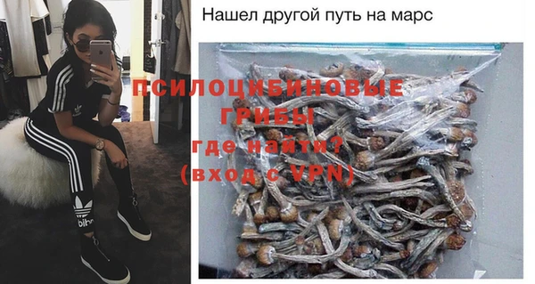 spice Арсеньев